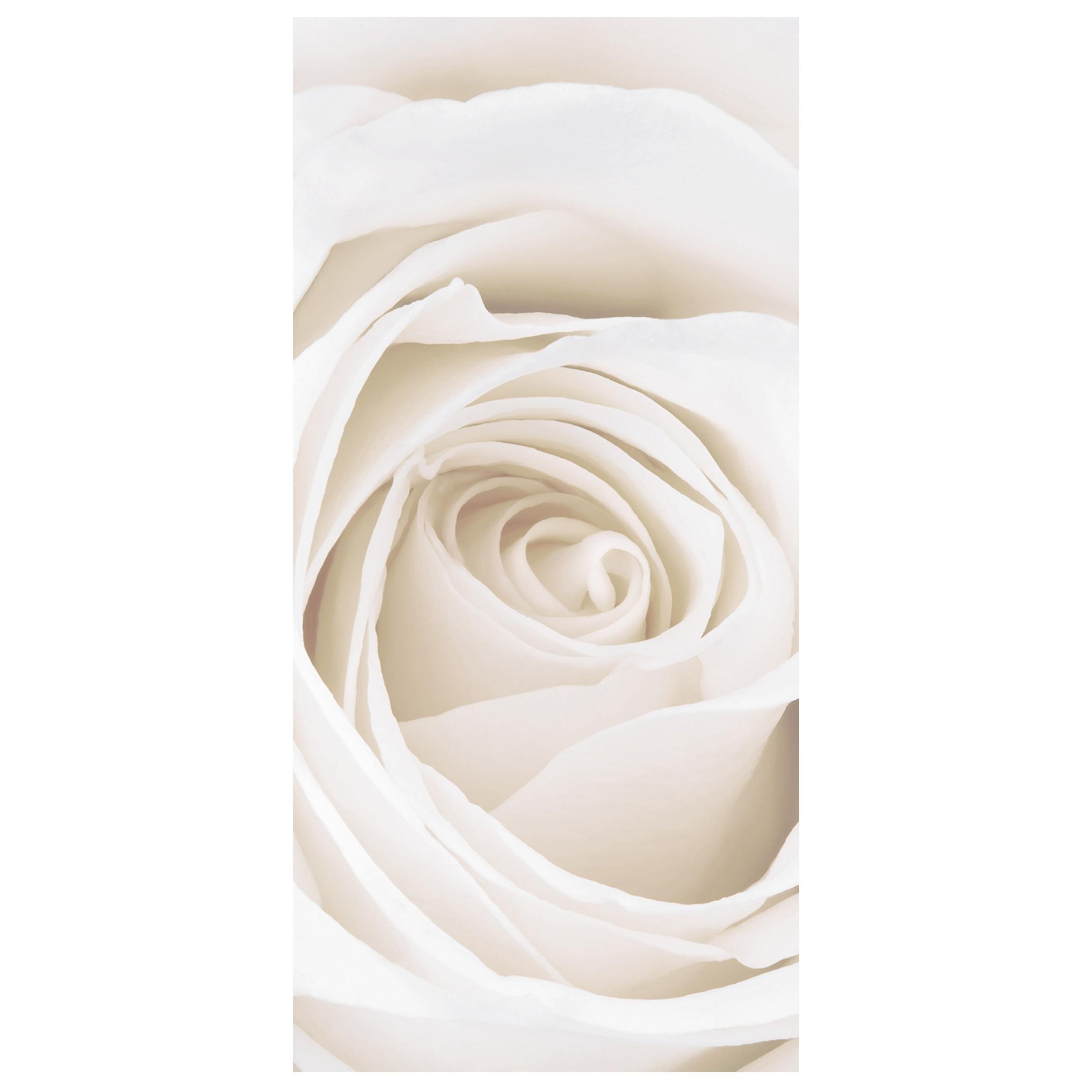 Moderný deliaci paravan Biela ruža