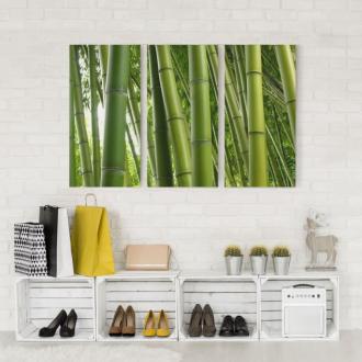 Trojdielny obraz Bambusové stromy 2:1