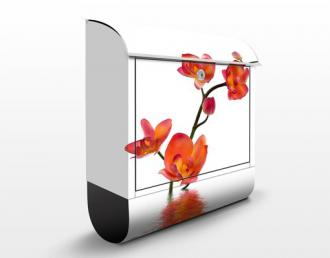 Poštová schránka Flamy Orchid Waters