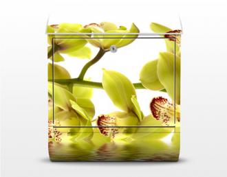 Poštová schránka Splendid Orchid Waters