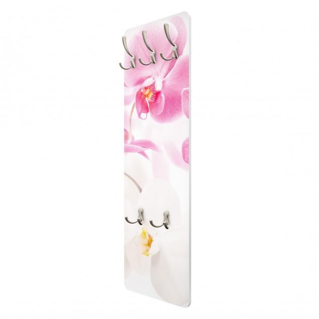 Vešiak na stenu Bielo ružová orchidea