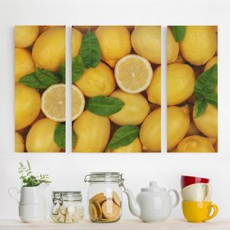 Trojdielny obraz Šťavnaté citróny
