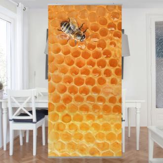 Moderný deliaci Včela medonosná