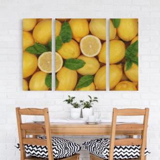 Trojdielny obraz Šťavnaté citróny