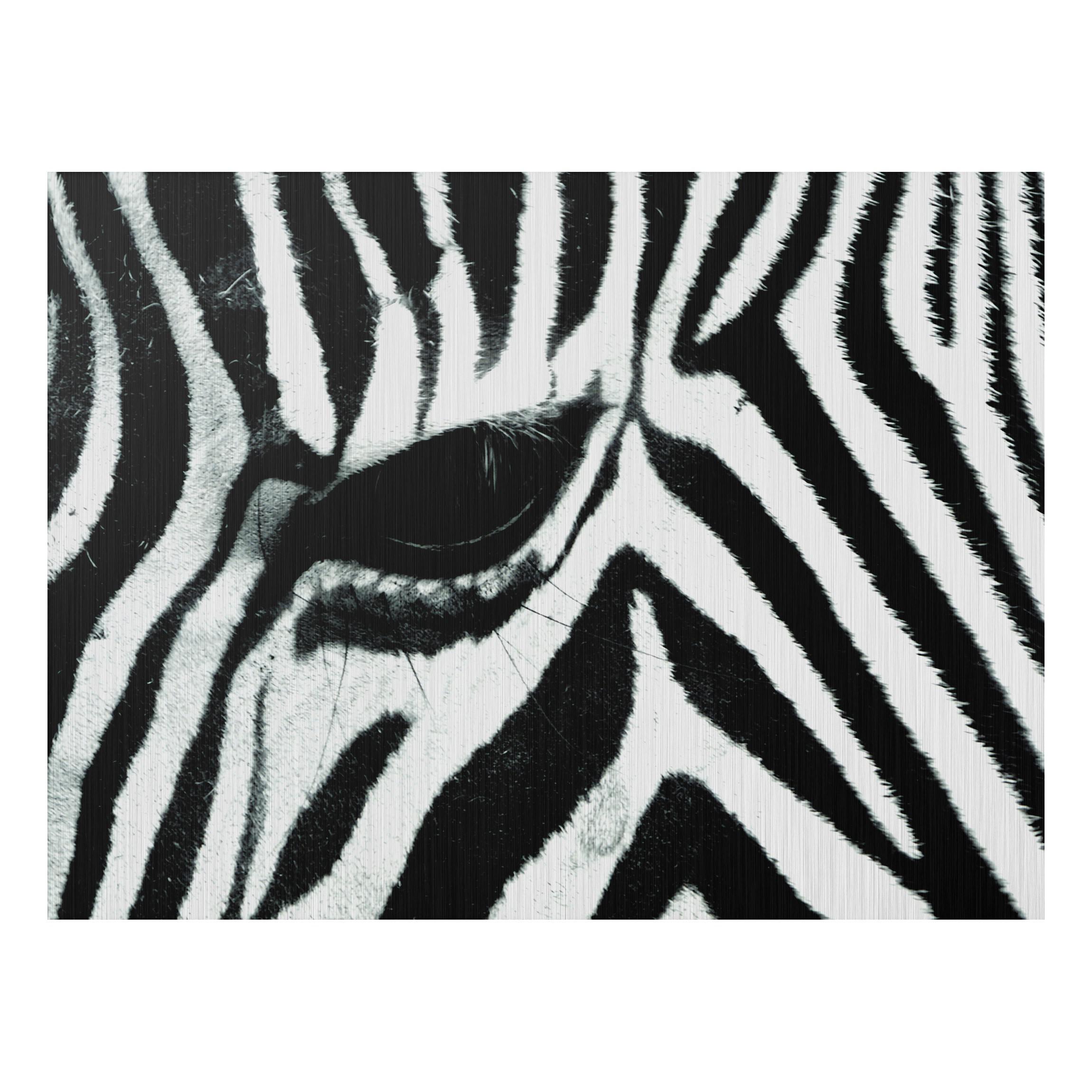 Obraz na hliníkovej doske Zebrie oko