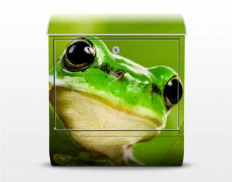 Poštová schránka Žaba zelená