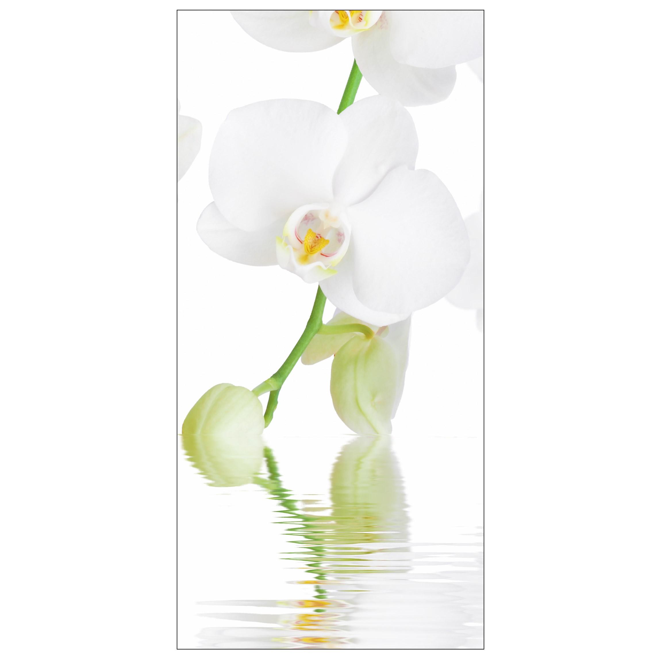 Moderný deliaci paravan Orchidea
