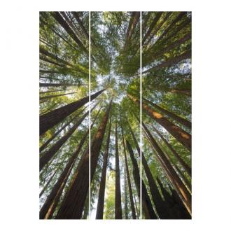 Súprava posuvnej záclony - Sequoia Tree Tops -3 panely