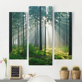 Trojdielny obraz Osvietený les