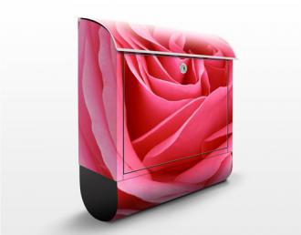 Poštová schránka Žiarivo ružová ruža