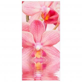 Moderný deliaci Ružové orchideje na vode
