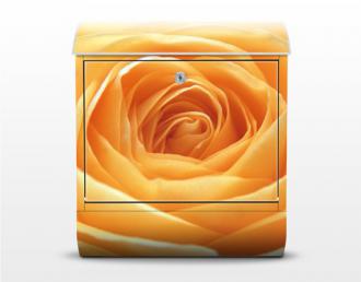Poštová schránka Oranžová ruža