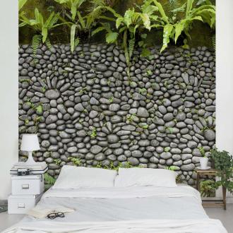 Fototapeta Kamenná stena s rastlinami