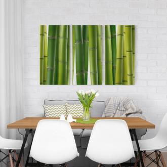 Trojdielny obraz Bambusové rastliny 2:1