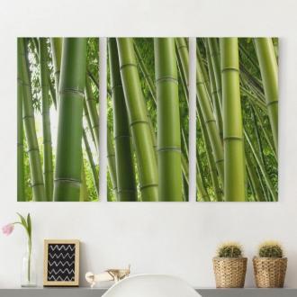 Trojdielny obraz Bambusové stromy 2:1