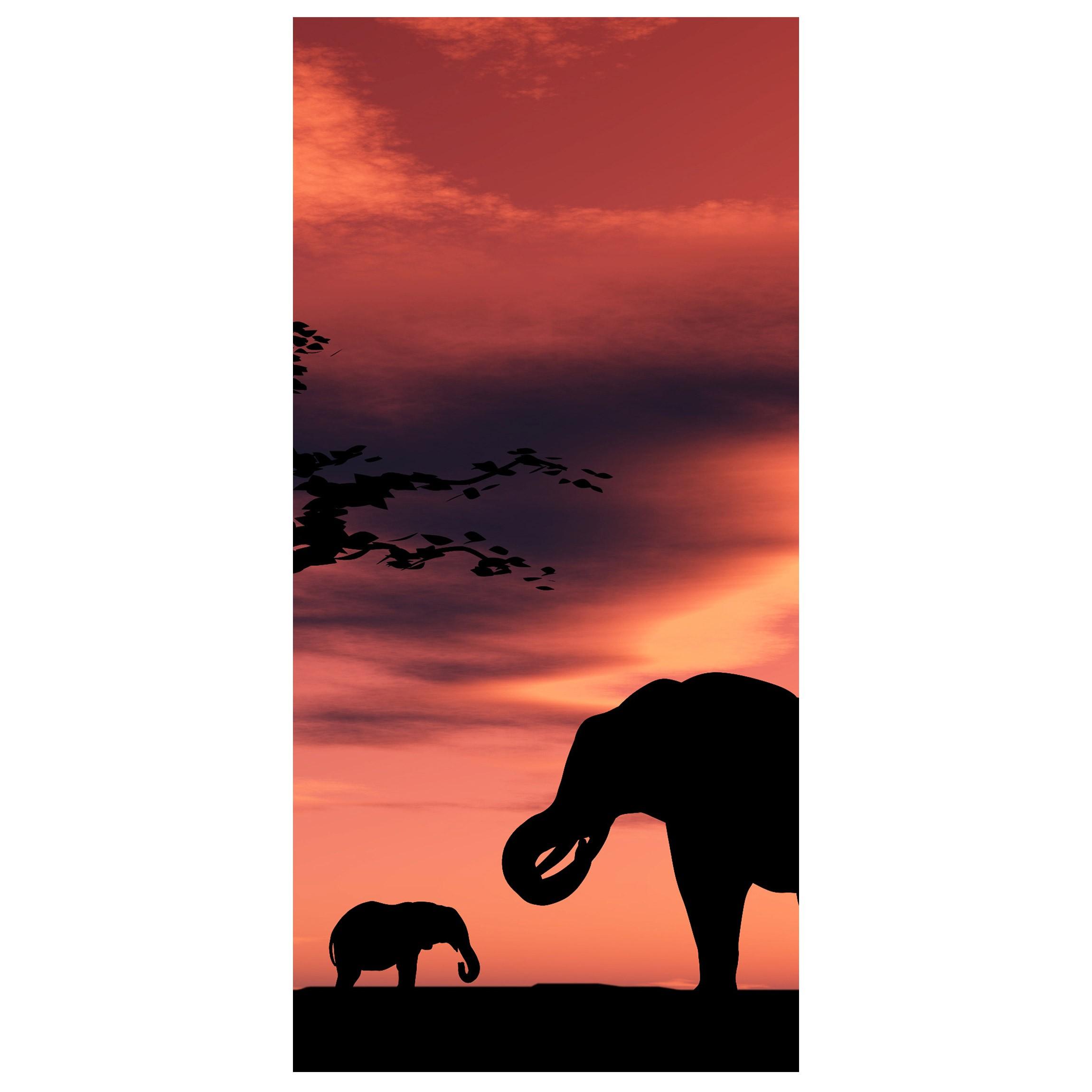 Moderný deliaci Paravan slon a mláďa