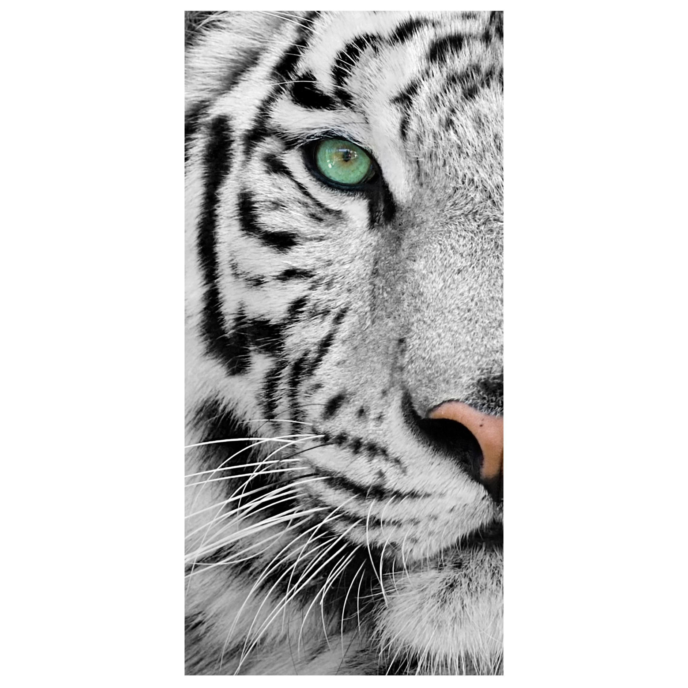 Moderný deliaci Paravan biely tiger